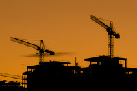 Evening cranes